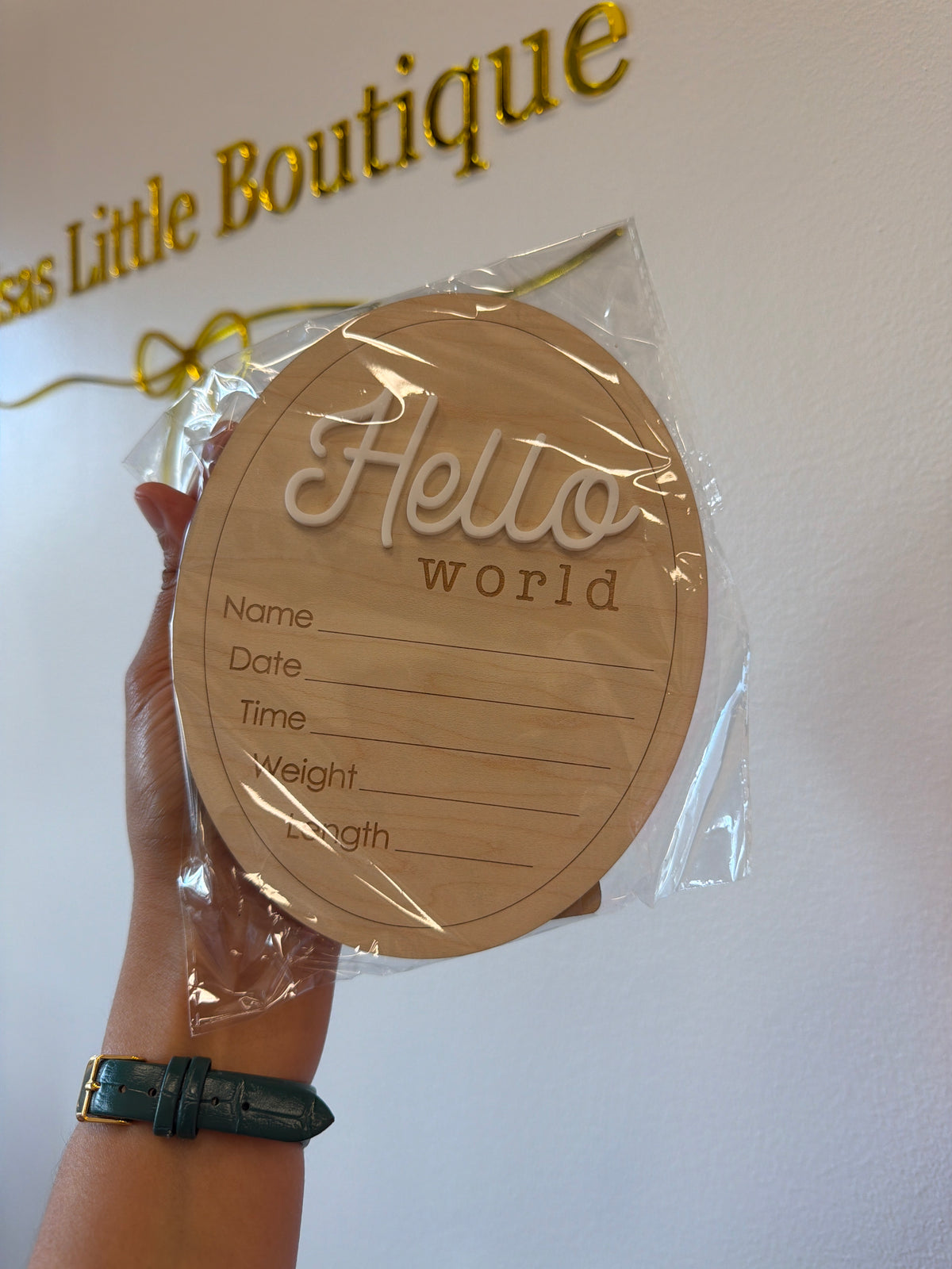 Hello World Wooden Sign