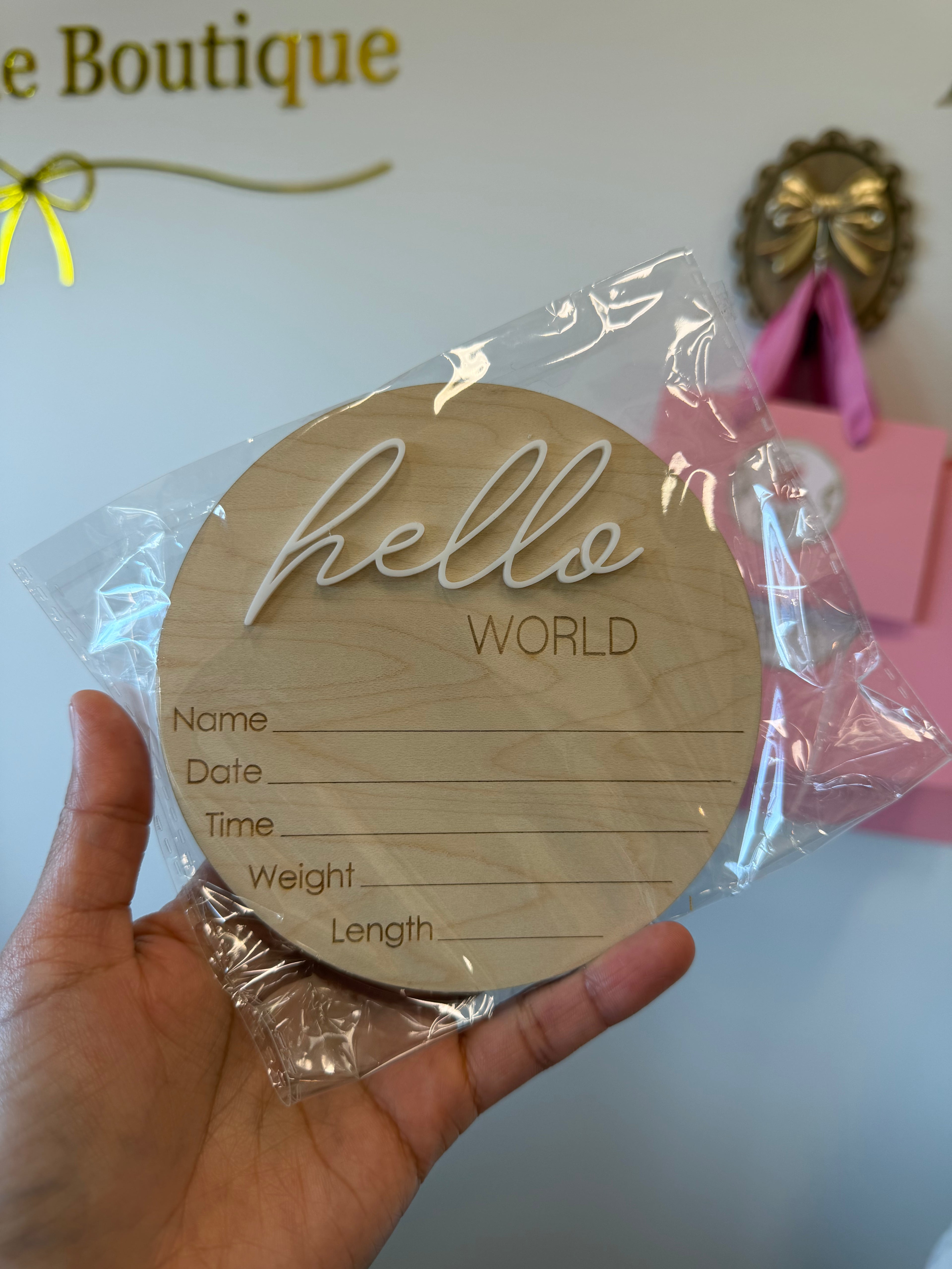 Hello World Wooden Sign